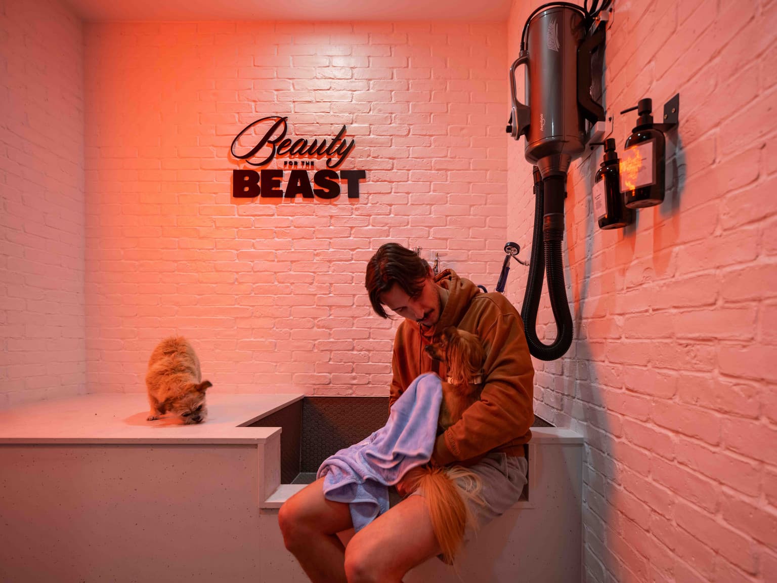 Pet Spa at Sloane Yorkdale luxury rental